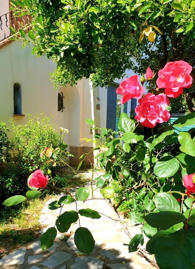 Studio Au Calme Tout Confort Proche Des Plages - Jardin Wifi Parking Fréjus Exterior photo